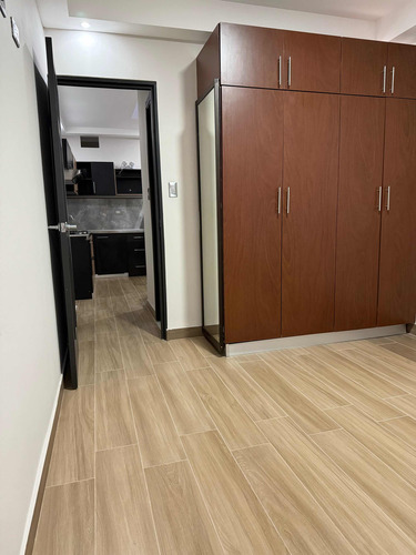 Apartamento En Alquiler Nuevo 1 Habitación Desamparados