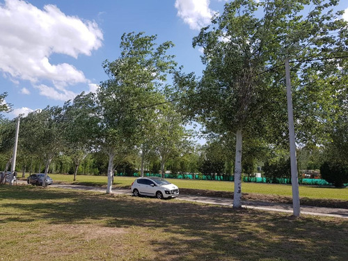 Imagen 5 de 5 de Terreno - Rosario