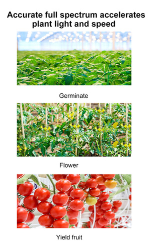 Lámpara Growth Lamp Spectrum, Luz Completa, Para Plantas De