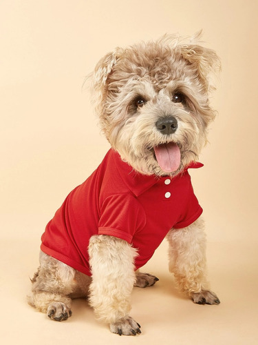 Ropa Camisa Unicolor  Para Mascotas Perro 