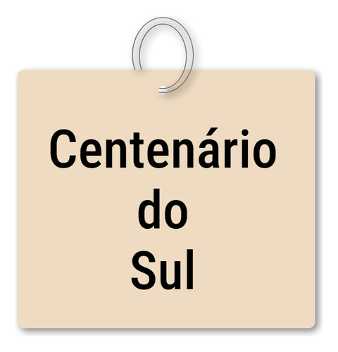 14x Chaveiro Centenário Do Sul Mdf Souvenir C/ Argola