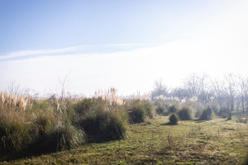 Campo En Venta En Pilar. Zona Champagnat