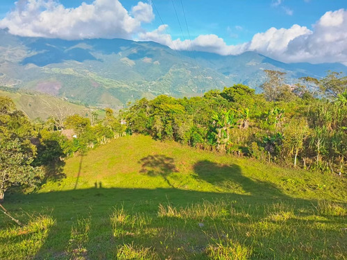 Em. Casa De Campo Vía Casa Padre En Monte Carmelo 19.900$