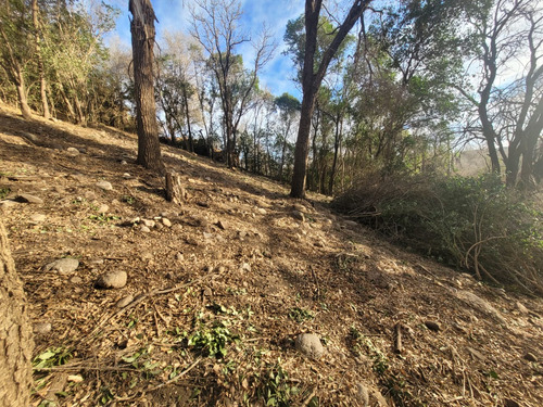 Terreno En Venta En Nono