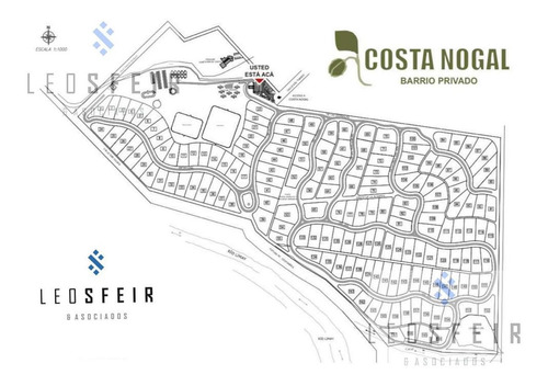 Imagen 5 de 6 de Venta/ Permuta Lote (con Escritura) - Costa Nogal - Neuquen