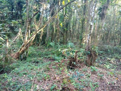 Imagem 18 de 23 de Chácaras Na Praia À Venda Em Itanhaem/sp - Compre O Seu Chácaras Na Praia Aqui! - 1465074
