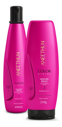  Kit Color System Shampoo Mascara Aneethun Proteção E Brilho