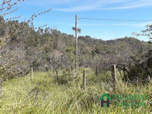 Imagem 11 de 15 de Vende Ou Troca Sitio Em Caeté - 2768