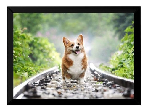 Quadro Cachorro Welsh Corgi No Trilho De Trem