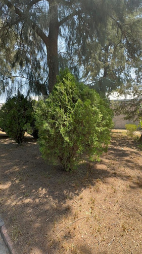Rancho Rustico En Acayuca, Hidalgo
