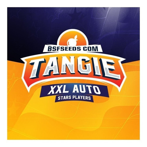 Semilla Tangie Auto X 12 Semillas Colección Bsf