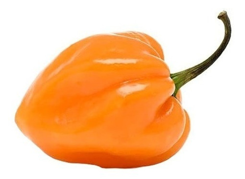 10 Semillas De Aji Picante Habanero Naranja