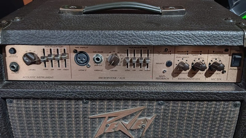 Amplificador Peavey Ecoustic 110fx Marrón Oscuro (Usado)