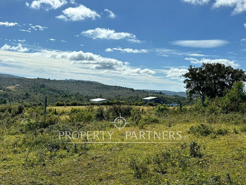 Oportunidad De Inversión, Campo Con 1.700 M De Ori...