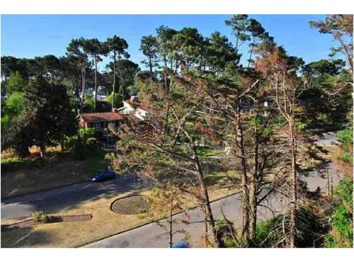 Imagen 28 de 30 de Muy Lindo Departamento - Punta Del Este Roosevelt