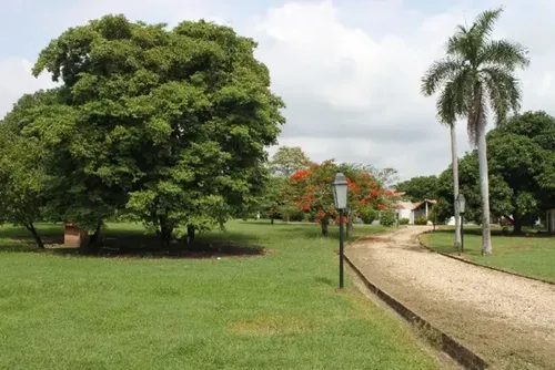 Casa Campestre En Venta En Peñalisa. Cod V16710