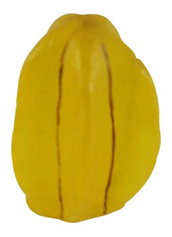 Molde Forma Silicone Carambola Mini Ib-753 / S-491