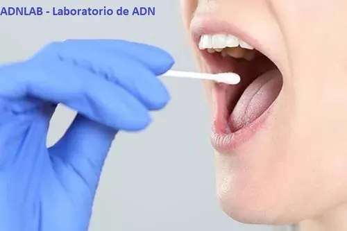 Test De Paternidad En El Embarazo, Adn Prenatal No Invasivo