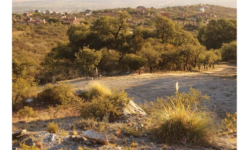 Imagen 3 de 4 de Terreno 7.900 M2 Barrio Los Nogales Lote 2 Mza A