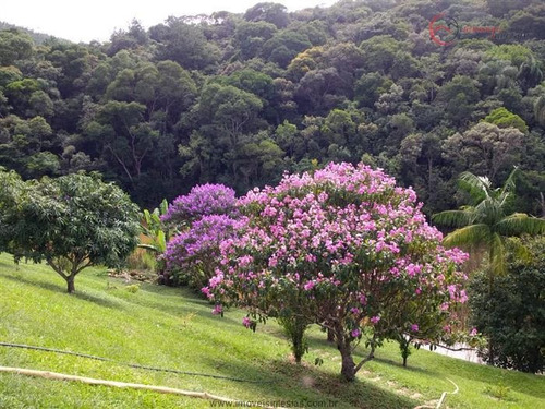 Imagem 6 de 29 de Chácaras À Venda Em Mairiporã/sp - Compre O Seu Chácaras Aqui! - 1433259