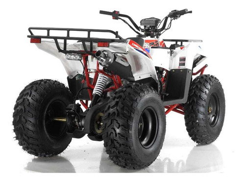 Imagen 8 de 8 de Cuatrimoto 200cc Commander Ranchera 2022 Polar P L R