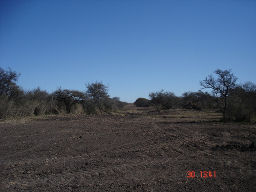 Imagen 11 de 12 de Campo Ganadero 42 Has E.rios Altamirano Sud Ideal Ganadería