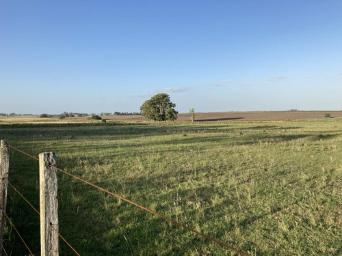 Imagen 3 de 14 de Campo De Casi 12 Hás En Ruta 40