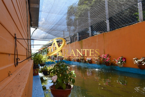 Imagem 12 de 30 de Chacara - Ch00109 - 69246130