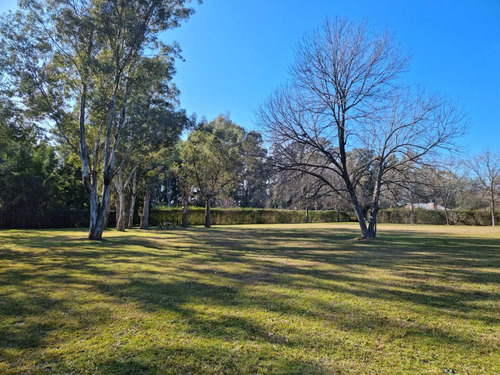 Imagen 10 de 14 de Terreno En Venta 1800m2 Con Excelente Arboleda