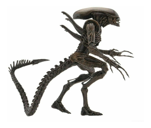 Neca Alien Resurrection Xenomorph Warrior Serie 14