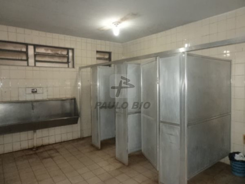 Imagem 3 de 15 de Galpao Industrial - Casa Grande - Ref: 2926 - V-2926