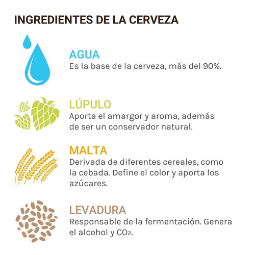 Cerveza Artesanal Wendlandt Veraniega Cervexxa Beerpack 12