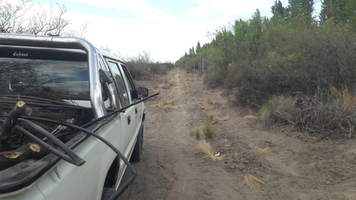 Imagen 15 de 20 de Campo En Venta 400 Ha - Colonia Elena- San Rafael - Mendoza