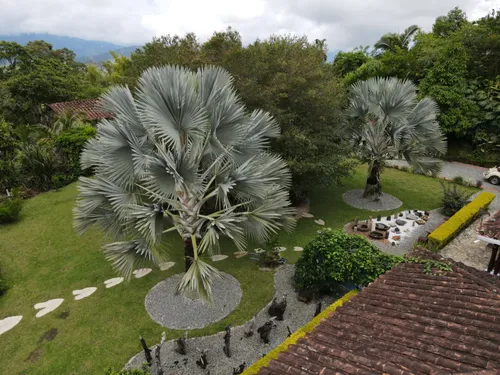 Casa Campestre En Venta En Vereda El Zancudo. Cod V12233