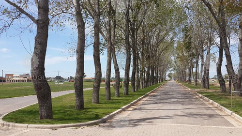 Imagen 6 de 30 de Terreno Lote En Venta Ubicado En La Alameda, Canning, Ezeiza