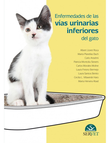 Enfermedades De Las Vías Urinarias Inferiores Del Gato, De Lloret Roca, Albert. Editorial Servet, Tapa Dura En Español, 2015