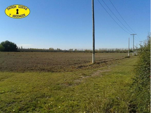 1882sa-lote De 5.000 M2 En San Rafael Mendoza