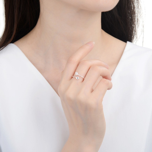Anillo Ajustable De Plata 925 (lan04)