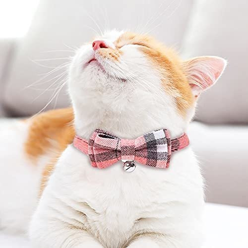 Collar Para Gatos Seis Paquete De 6 Collares De Gato A Cua 