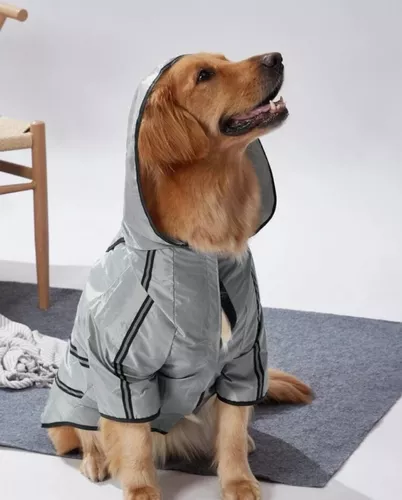 Ropa impermeable - protéjase de la lluvia con MASCOT