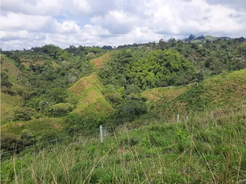 Venta Finca Ganadera Filandia Via Quimbaya - 41 Cuadras