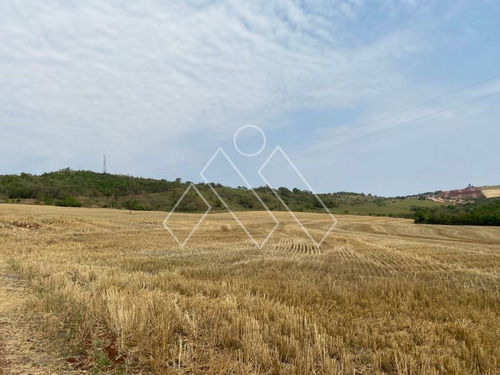 Imagem 2 de 8 de Fazenda Para Plantio Próximo A Londrina (71,05 Alqueires) - Mi1373