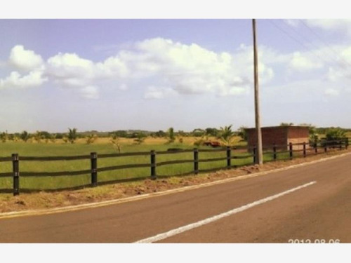Imagen 2 de 12 de Terreno En Venta La Piedra