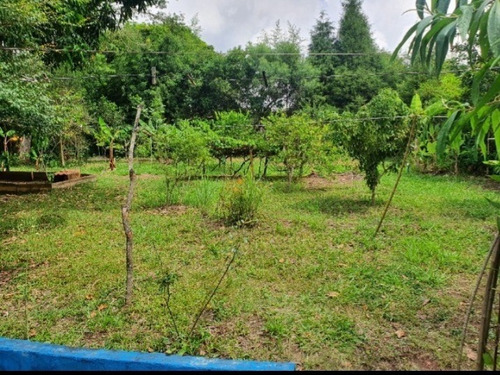 Imagem 6 de 20 de Bela Chácara Em Ibiúna/sp Cód. 534