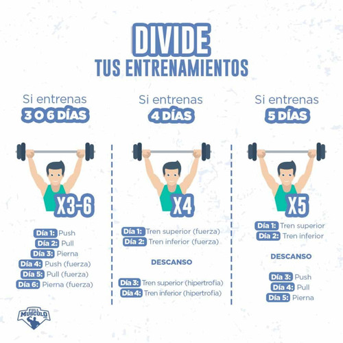 Servicios Plan De Dieta Profesional Y Alimentacion Fit