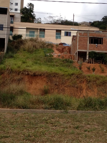 Imagem 7 de 14 de Lote Semi Plano Cidade Nova