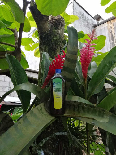 Imagen 6 de 10 de Sinchicara(tequila Amazonico)licor 100% Natural Aguardiente