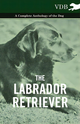 The Labrador Retriever - A Complete Anthology Of The Dog, De Various. Editorial Lulu Pr, Tapa Dura En Inglés