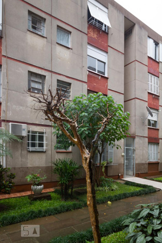 Imagem 15 de 15 de Apartamento À Venda - Vila Ipiranga, 1 Quarto, 39 - S893340175