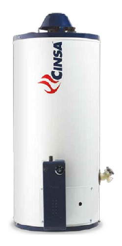 Boiler Calentador De Agua Cinsa 20 Galones Gas Lp